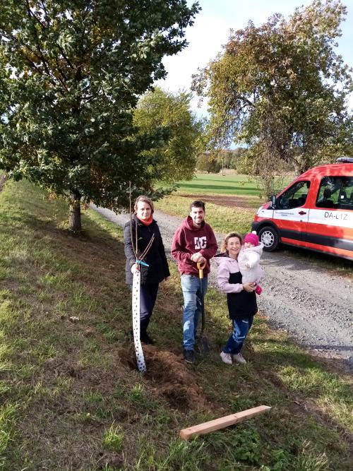 Výsadba aleje ovocných stromů na cestě z Onomyšle do Křečovic 