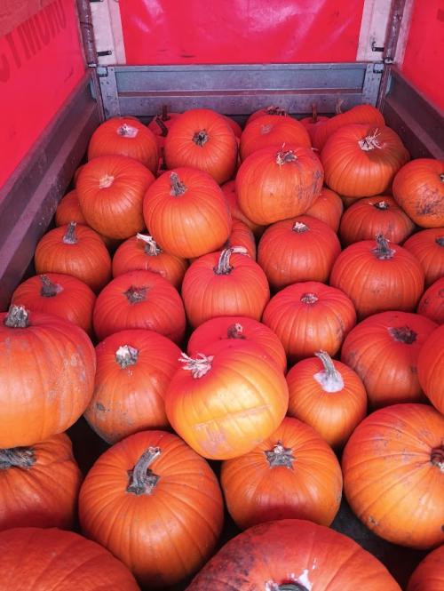 Cesta k sousedům 1.11.2025